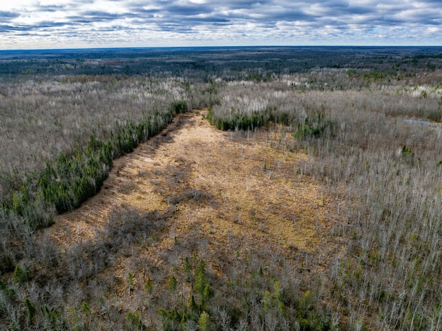 11242 Pierce Rd, Solon Springs, WI 54873 - bird's eye view of a forest