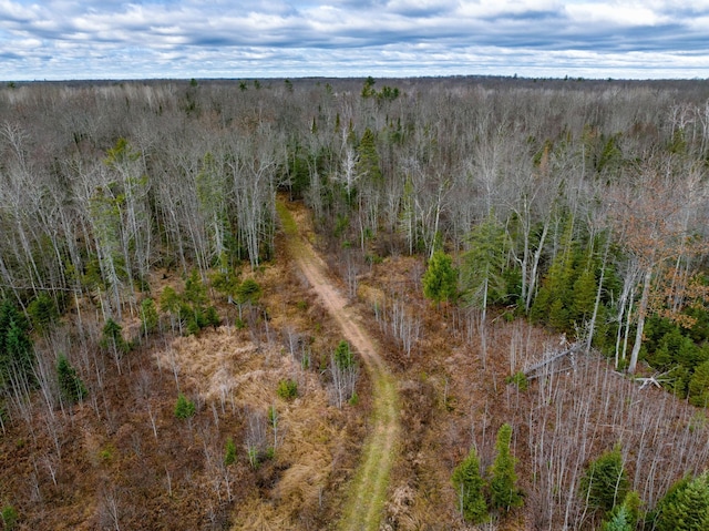 11242 Pierce Rd, Solon Springs, WI 54873 - aerial view of a heavily wooded area