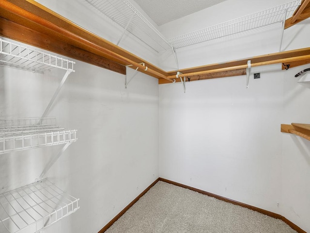 walk in closet with carpet flooring