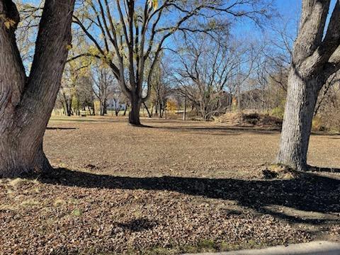 441 9th St, Walnut Grove MN, 56180 land for sale