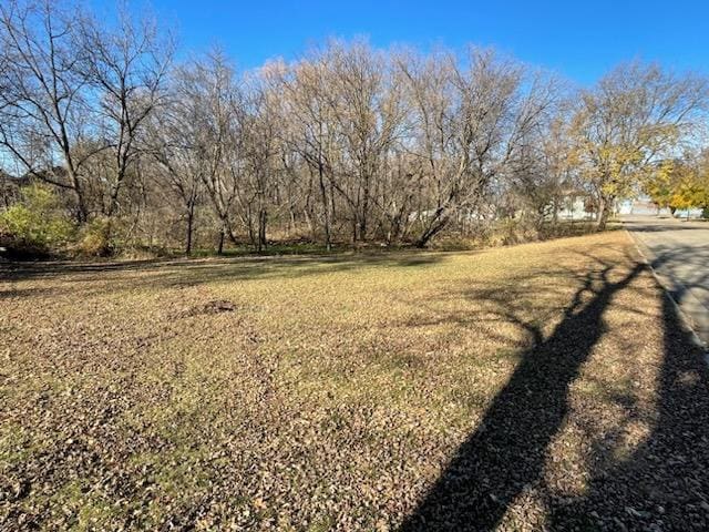 null 9th Street, Walnut Grove MN, 56180 land for sale