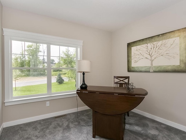 carpeted office featuring a wealth of natural light