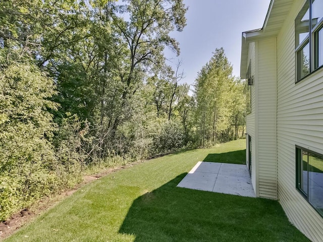 view of yard featuring a patio area