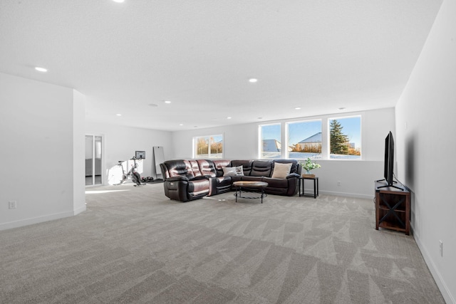 living room featuring light colored carpet