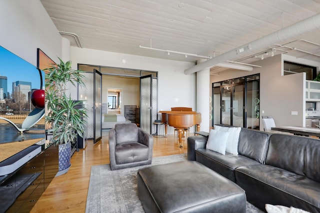 living room featuring rail lighting and hardwood / wood-style floors