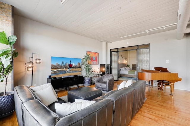 living room featuring light hardwood / wood-style flooring