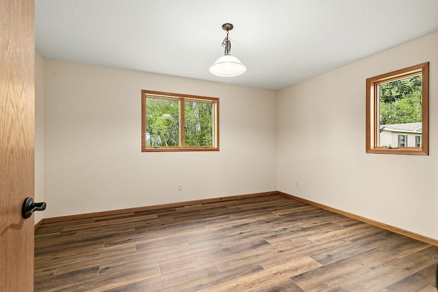 spare room with plenty of natural light, baseboards, and wood finished floors