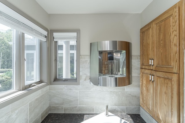 bathroom featuring a wealth of natural light