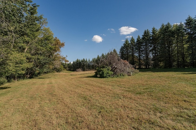 view of nature