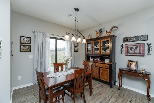 2019 Douglas Trail Dr SE, Pine Island, MN 55963 - photo 7