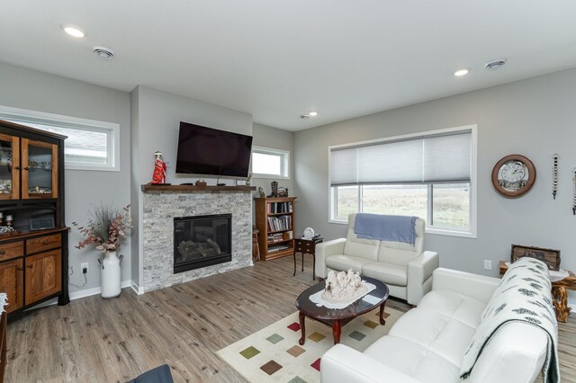 2019 Douglas Trail Dr SE, Pine Island, MN 55963 - photo 8