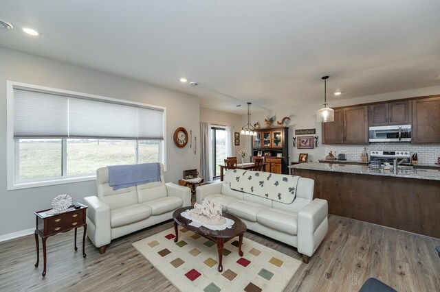 2019 Douglas Trail Dr SE, Pine Island, MN 55963 - photo 10