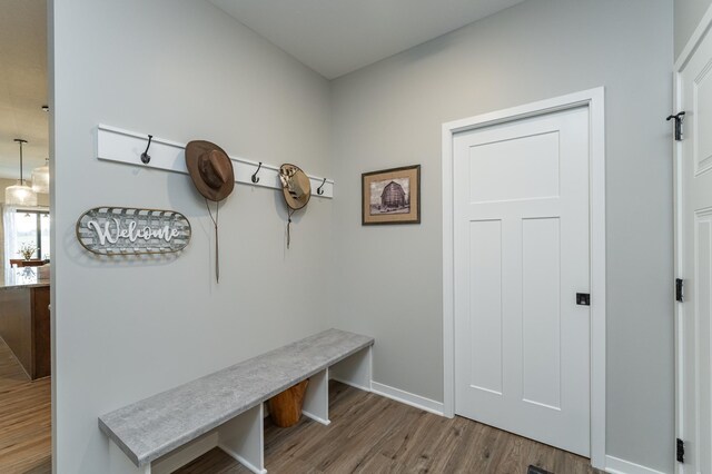 2019 Douglas Trail Dr SE, Pine Island, MN 55963 - photo 12