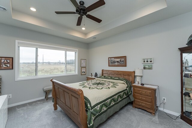 2019 Douglas Trail Dr SE, Pine Island, MN 55963 - photo 13