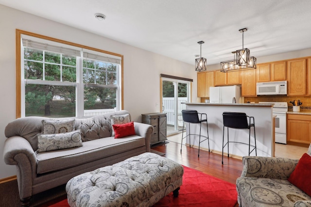 living room with plenty of natural light and dark hardwood / wood-style floors