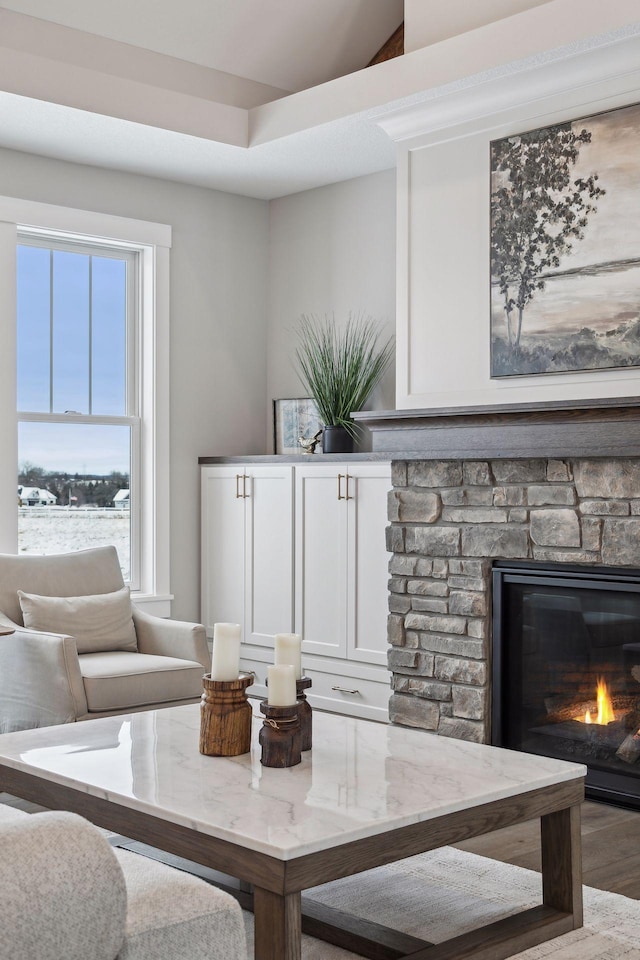 interior space with hardwood / wood-style floors and a stone fireplace