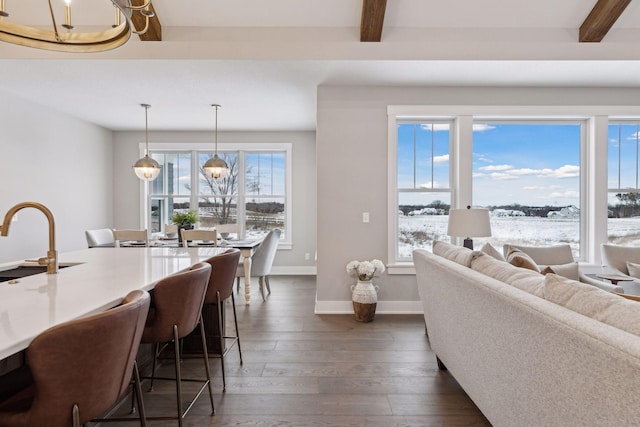 dining area with sink, dark hardwood / wood-style flooring, and beam ceiling