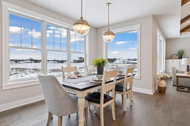 14320 47th St N, Stillwater, MN 55082 - dining space featuring hardwood / wood-style flooring and plenty of natural light