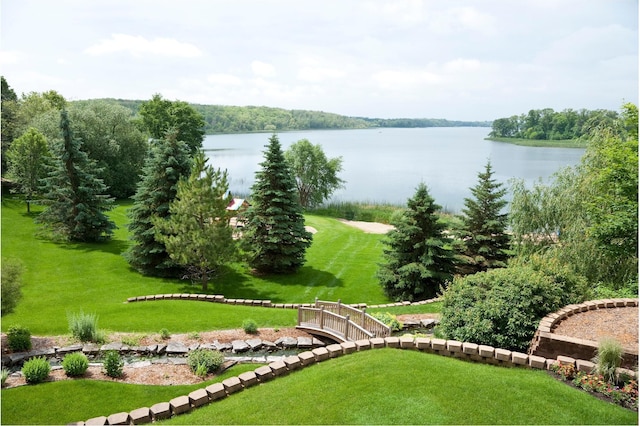 11912 County Road 12 NW, Ida Twp, MN 56332 - photo 4