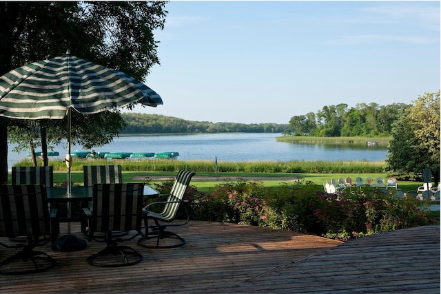 11912 County Road 12 NW, Ida Twp, MN 56332 - photo 93