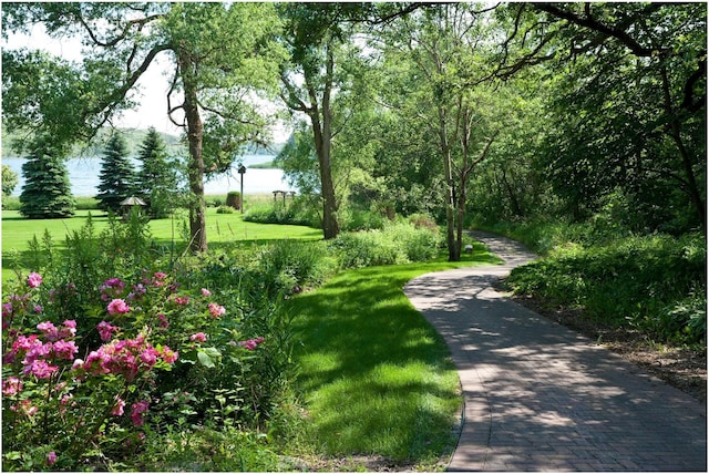 11912 County Road 12 NW, Ida Twp, MN 56332 - photo 115