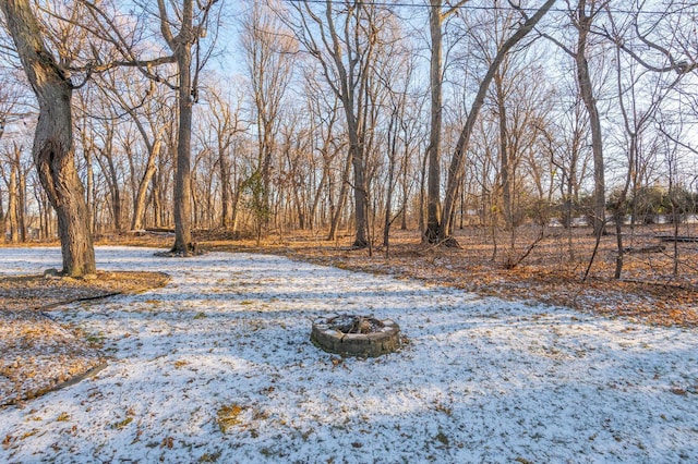 view of yard covered in snow