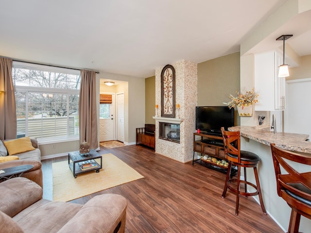 living room with dark wood-type flooring