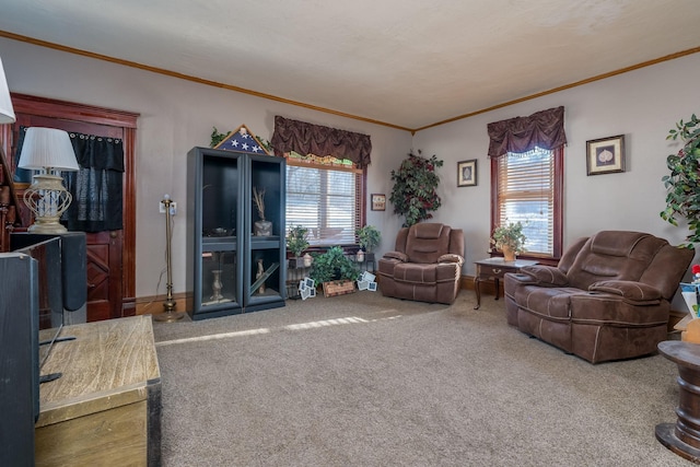 living room featuring crown molding and carpet