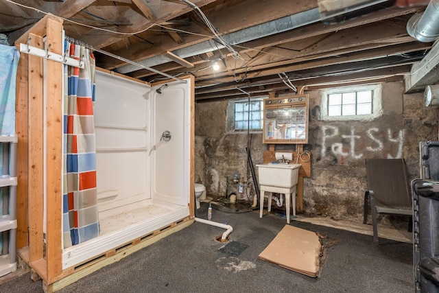 basement featuring sink