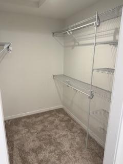 walk in closet featuring dark colored carpet