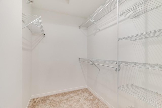 spacious closet with carpet floors