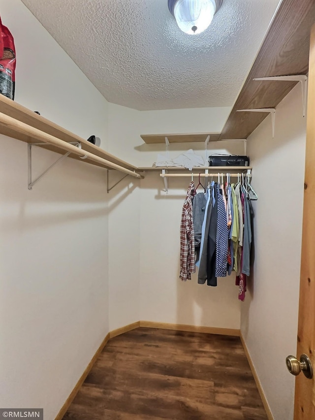 spacious closet featuring wood finished floors