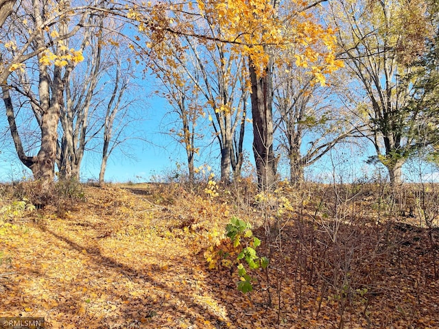 view of landscape