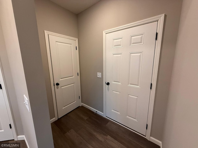 hall featuring dark wood-type flooring