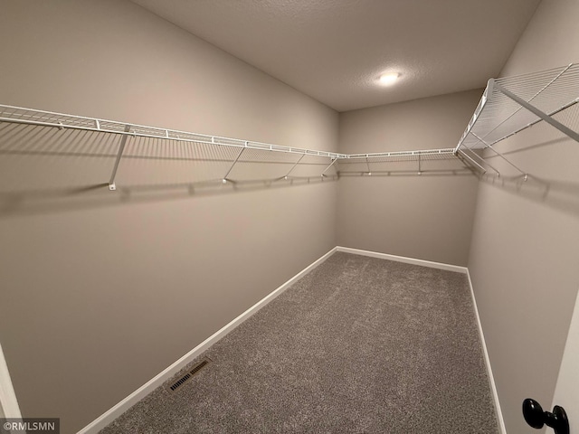 walk in closet featuring carpet