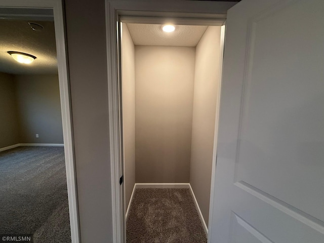 details with carpet and a textured ceiling