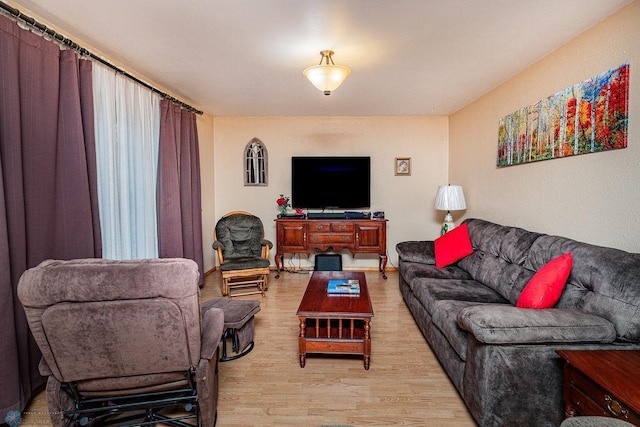 living room with light hardwood / wood-style floors