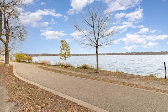 property view of water