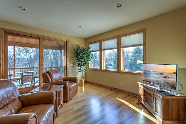 living room with light wood-type flooring and a wealth of natural light