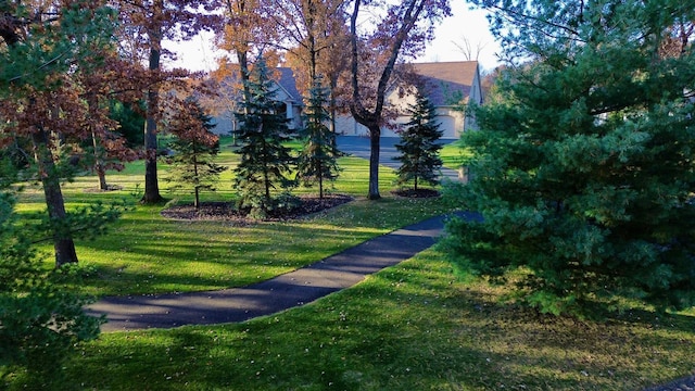 view of home's community featuring a lawn