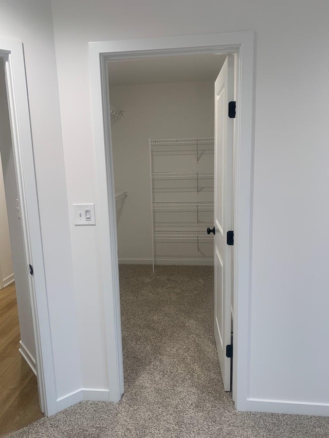 spacious closet featuring carpet floors