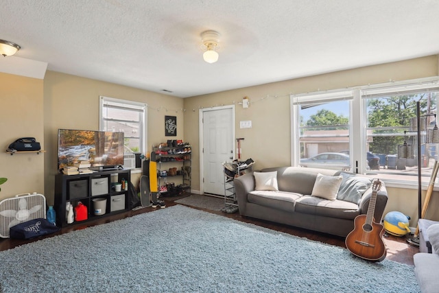 living room featuring a textured ceiling and dark wood-type flooring