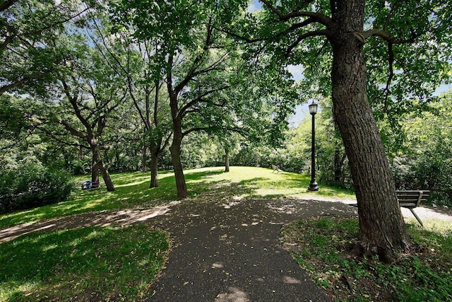 view of home's community featuring a yard