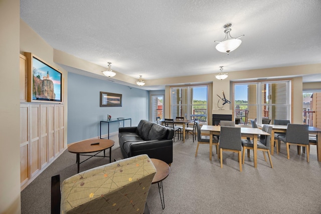 630 Main St N Unit 202, Stillwater, MN 55082 - living area featuring a textured ceiling