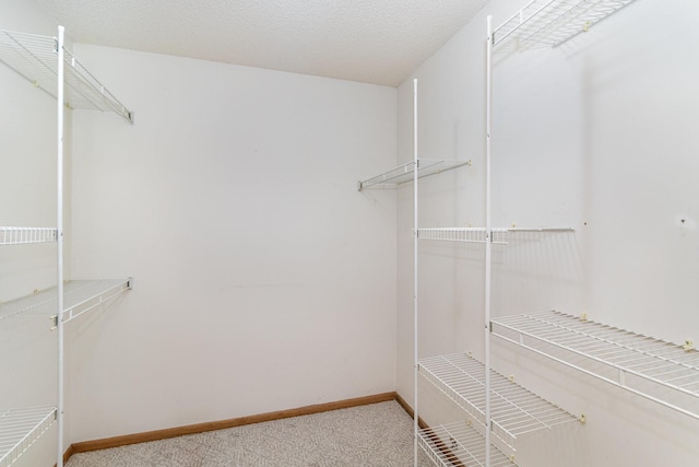 spacious closet with light colored carpet