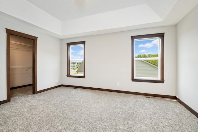 unfurnished bedroom featuring multiple windows, a spacious closet, a closet, and carpet floors