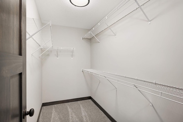 spacious closet featuring carpet floors