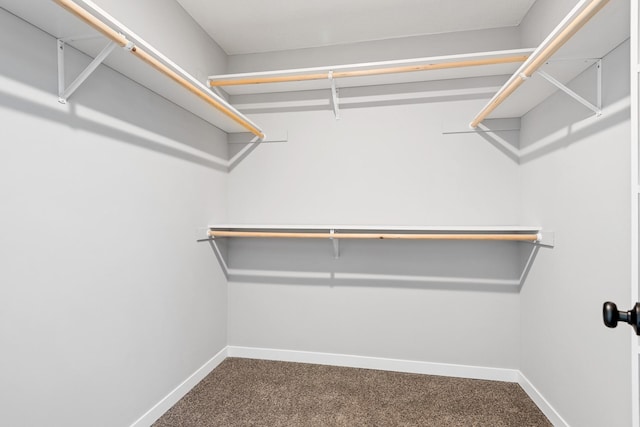 spacious closet with carpet