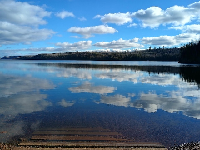 Listing photo 2 for XXXX Gunflint Trail, Grand Marais MN 55604