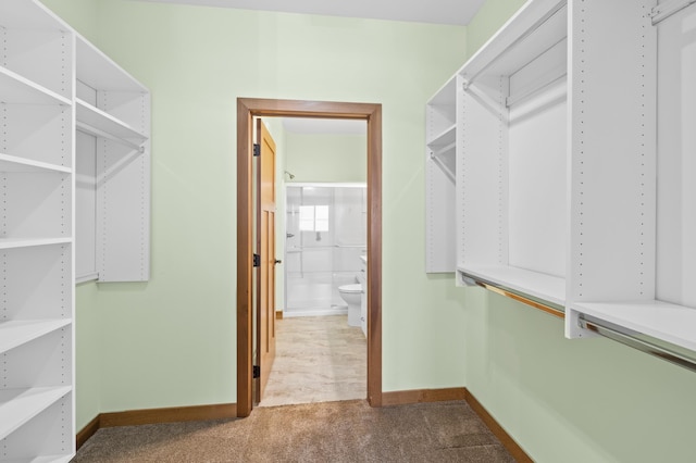 279 Minnesota Ave W Unit 304, Glenwood, MN 56334 - photo 13